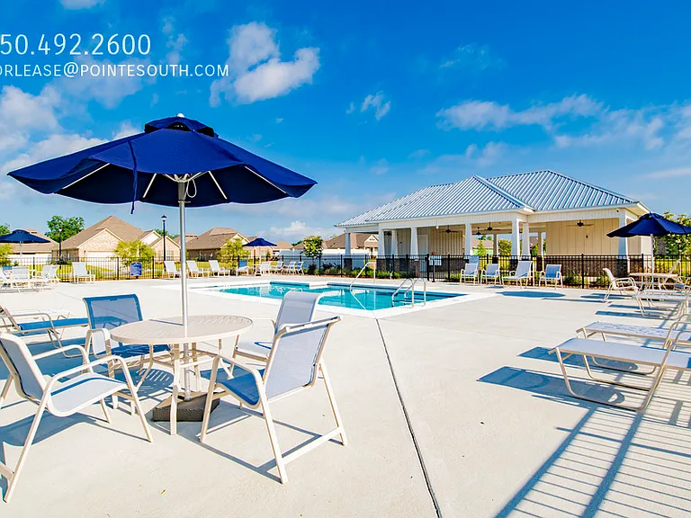10988 Animal Kingdom Way — Photo 24