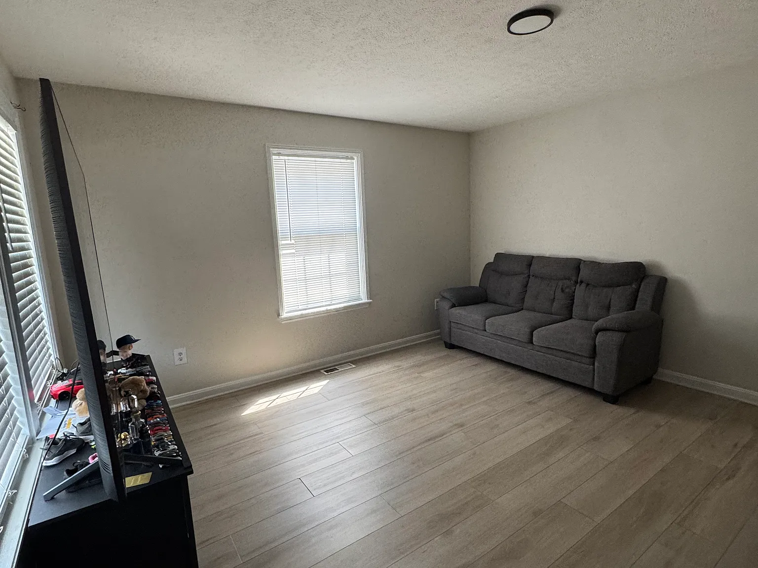 3 bed, 1200 sqft, $1,450 — Photo 4