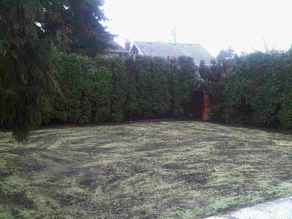 enormous freshly planted, enclosed backyard
