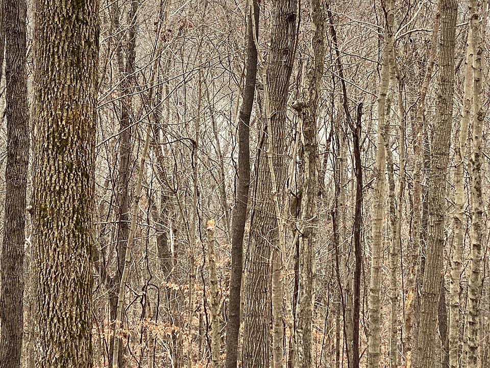 2nd image of 7 Jones Rd