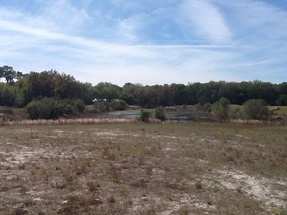 Southern View