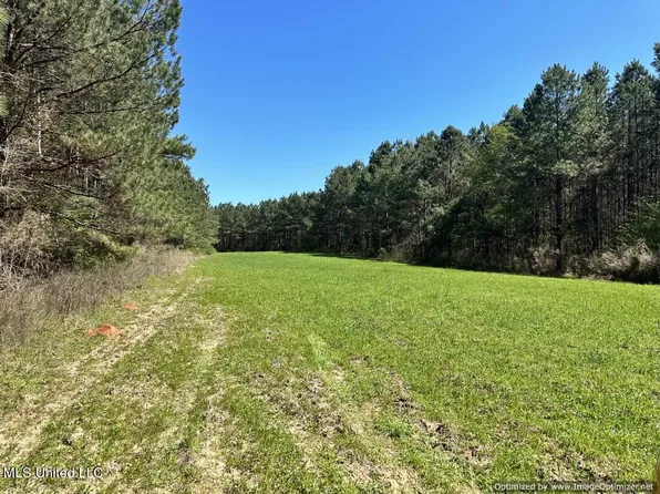 0 Crossroads Rd, Decatur, MS 39327