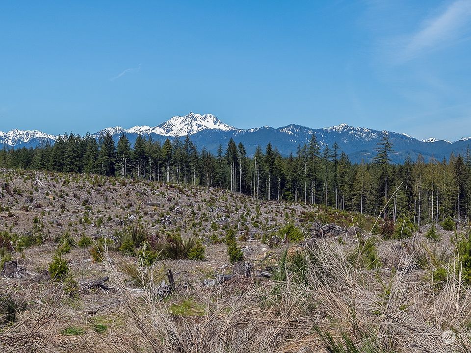 2 xxx Dewatto Road, Tahuya, WA 98588 MLS 2057360 Zillow