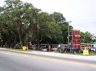140 W State Road 40, Pierson, FL 32180