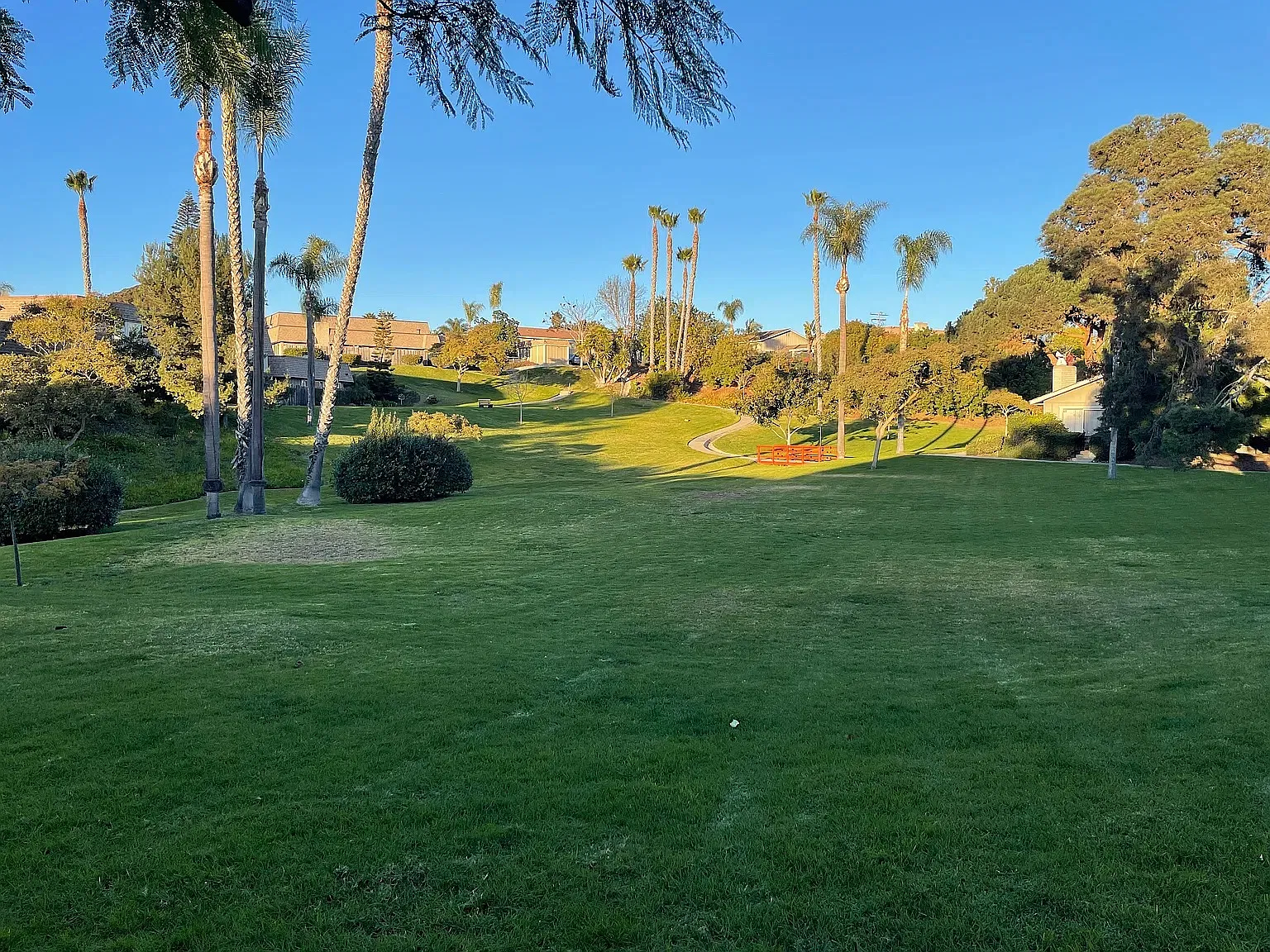 1 bed, 806 sqft, $3,595 — Photo 1