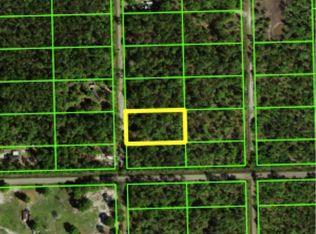 10160 DELGADO Avenue, Hastings, FL 32145