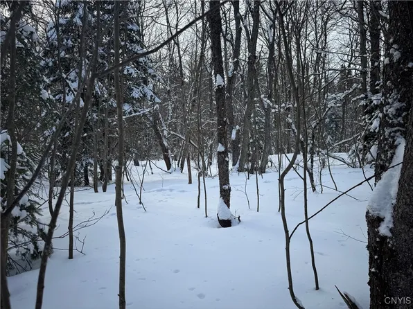 0 Kotary Rd #17, Constableville, NY 13325