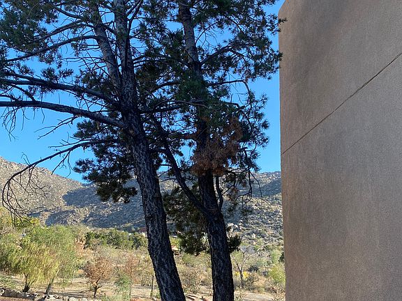 View from front door