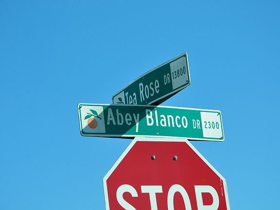 5th image of 2505 Abey Blanco Dr