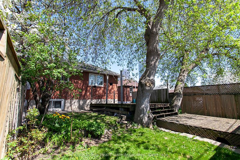 Toronto House for rent - 1 Bedroom — photo 17