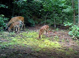 Sampson Rd, Ferguson, NC 28624