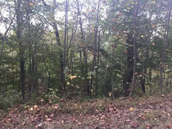 109 Charlies Cv, Piney Flats, TN 37686