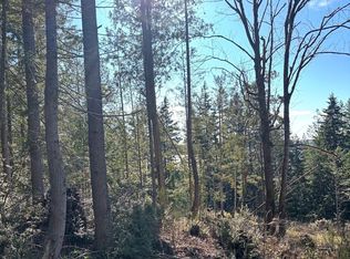 1 Nka Yashi Rd, Brinnon, WA 98320