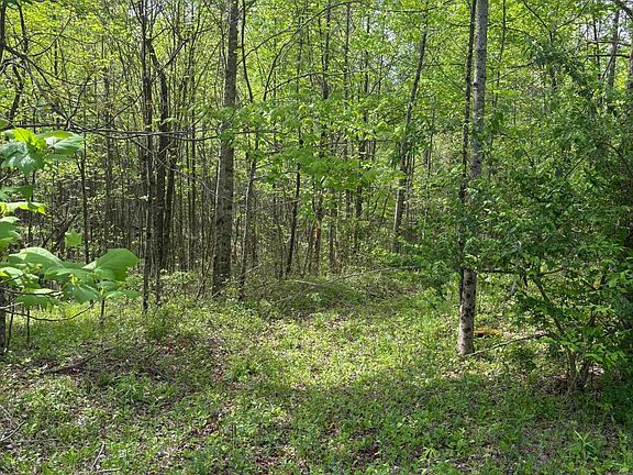 5th image of 157 Casteel Rd