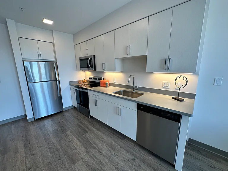 Red Oak at 409 Elm Street — Photo 44