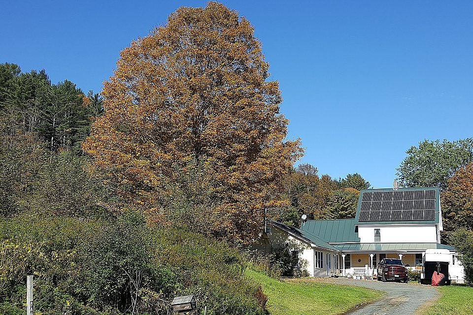 View from front driveway