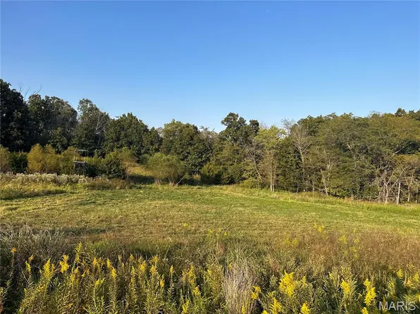 53424 Trabue Ln, New London, MO 63459