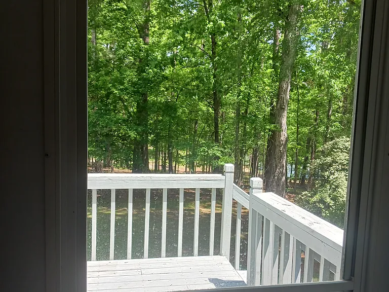 169 Greenwood Rd — Photo 13