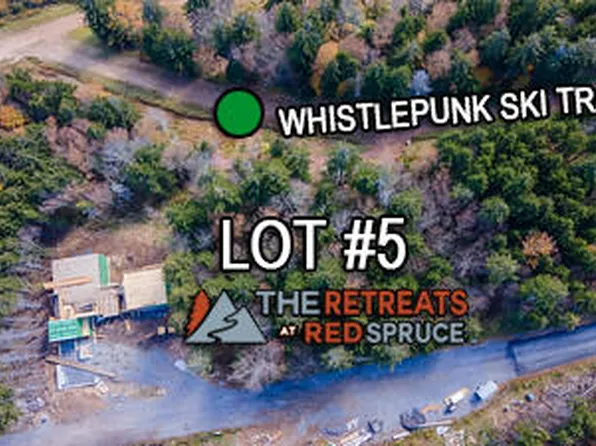 246 Red Spruce Dr, Snowshoe, WV 26209