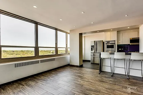 3950 N Lake Shore Dr #1002 Photo 1