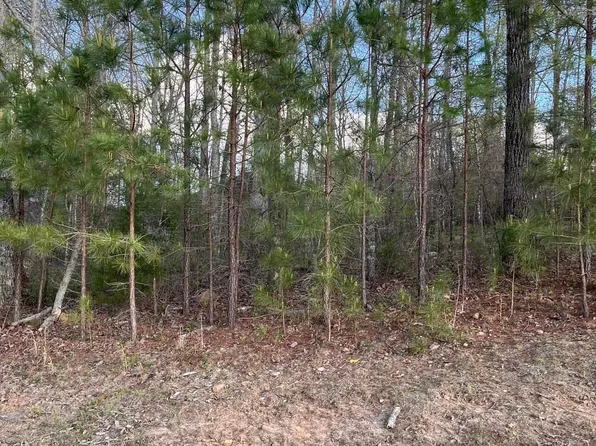 80 Preserve Way Lot 72, Springville, AL 35146
