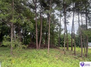 0 Paulette Way, Falls Of Rough, KY 40119