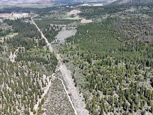 0 Black Butte Lookout Dr, Weed, CA 96094