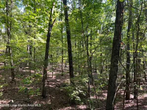 8 Pineview Ln, Dadeville, AL 36853