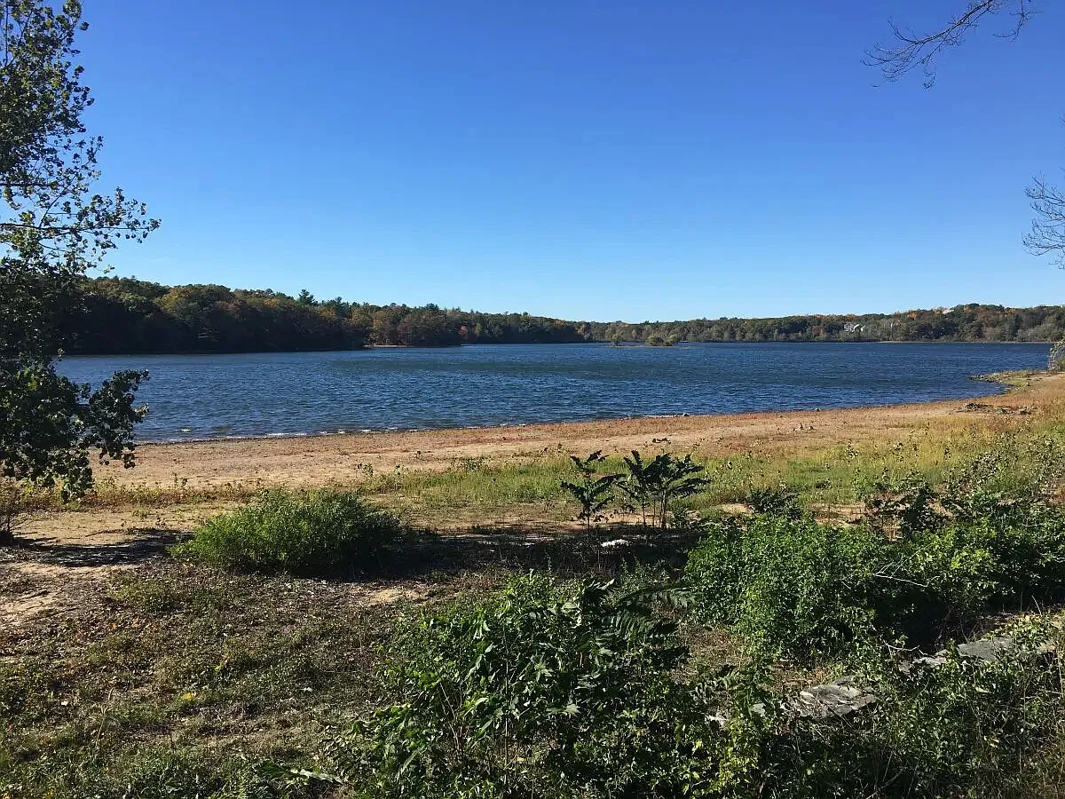 2 bed, 1.0 bath, $2,695 — Photo 4