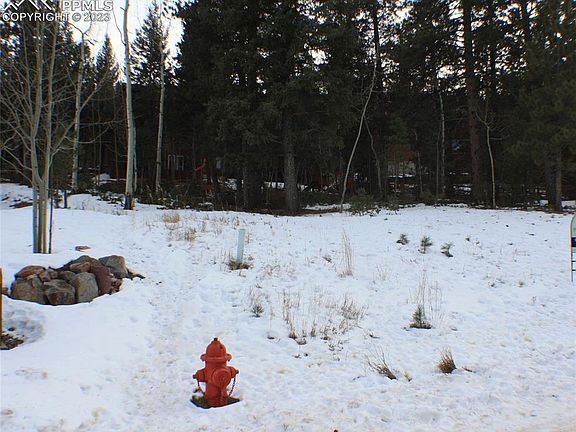5th image of 651 Misty Pines Cir