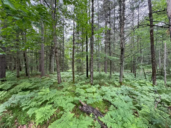 LOT 90 Trailwood Dr, Minocqua, WI 54548