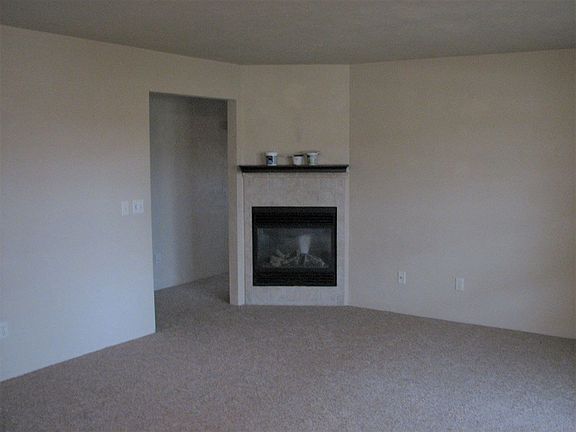 Gas Fireplace
