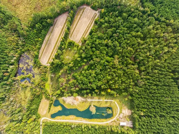 TBD Bratcher Rd., Conway, SC 29526