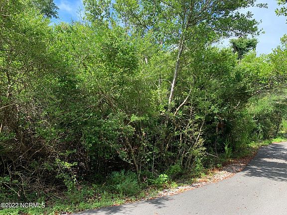 5th image of 2029 Palmetto Cove Court