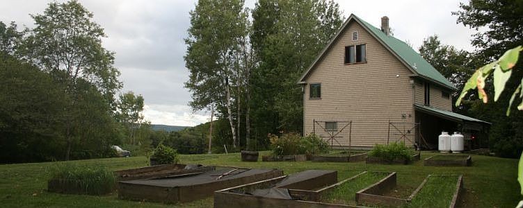 Side yard with raised garden beds