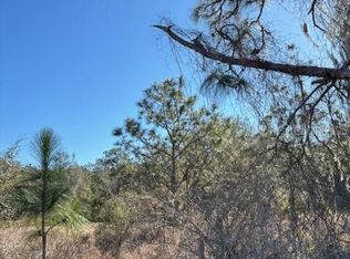 Old Grade Rd LOT B-664, Polk City, FL 33868