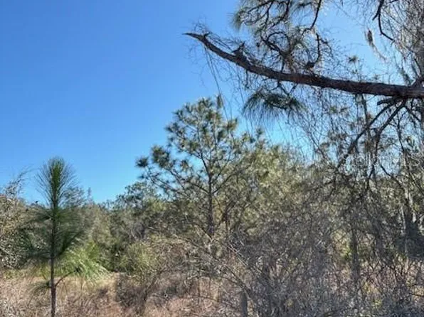 Old Grade Rd Lot B-664, Polk City, FL 33868