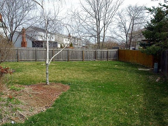 Rear Yard