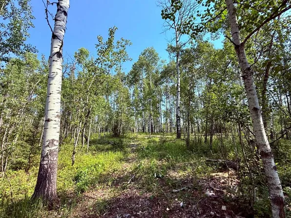 29066 Range Road 52 #40, Mountain View County, AB T0M 2E0