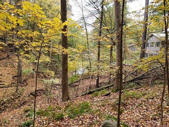 4th image of LOT 49 E Redstone Ct
