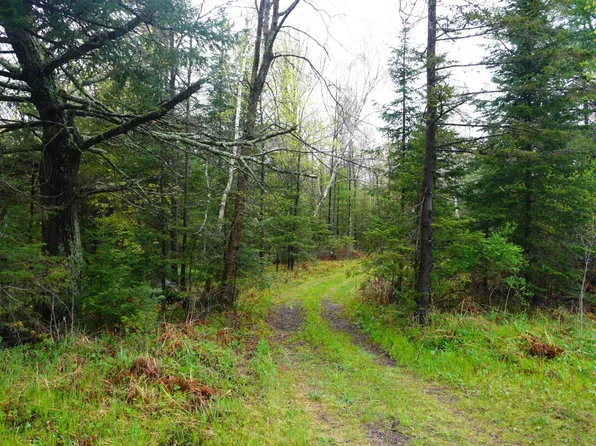 Cth #X, Gleason, WI 54435