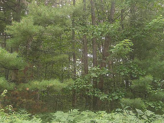 2nd image of 0 E Cedar Lake Dr
