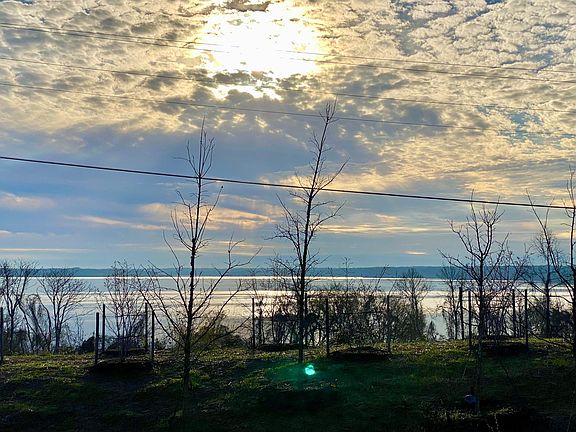 Views from rear of home