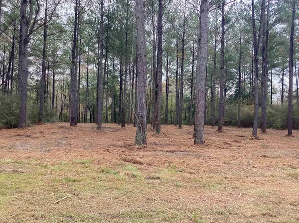 LOT 77 Harbor Rd, Andalusia, AL 36421
