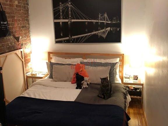 2nd image of 447 W 37th St #3F