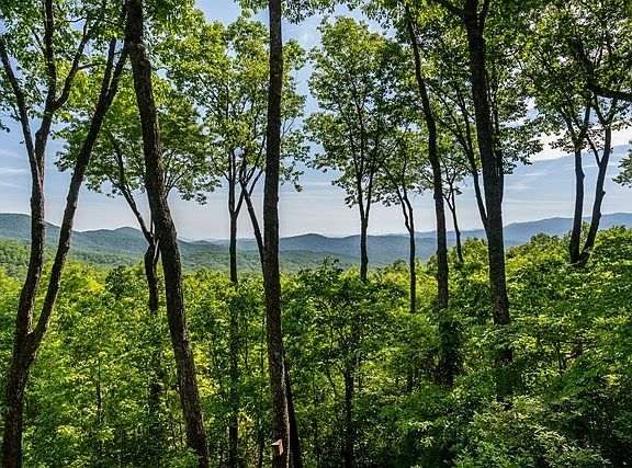 5th image of 772 Double Knob Rd