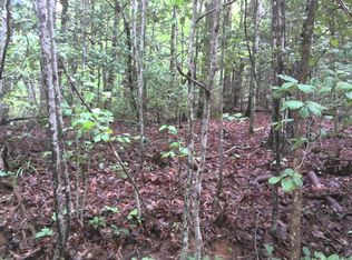 16 Painting Spring Ln, Whittier, NC 28789