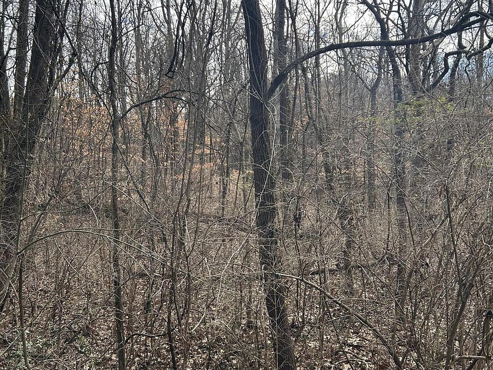 1st image of 1 Lamont Ln