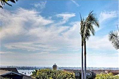 Back Yard View