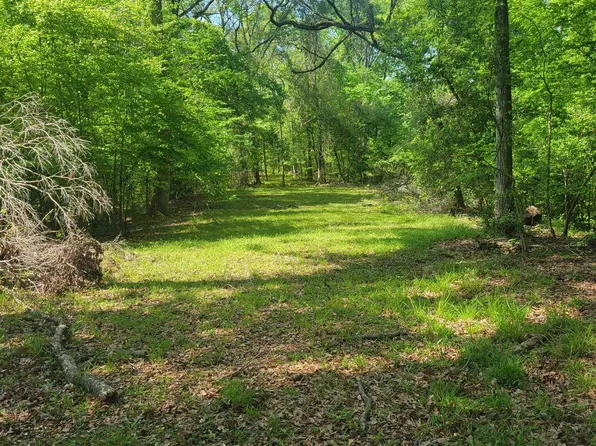 9052 Reech Rd, Saint Francisville, LA 70775